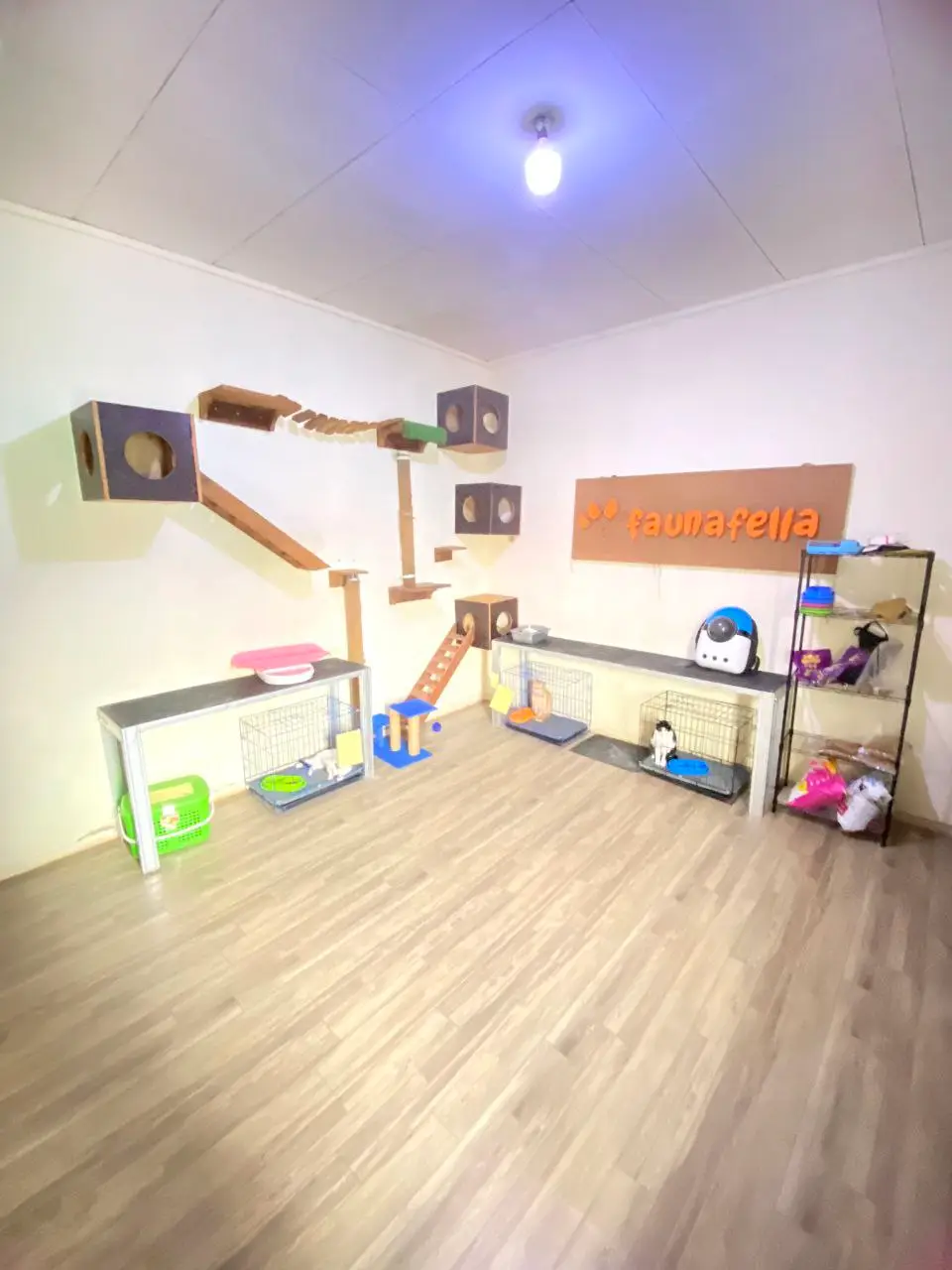 Ruang bermain Cat Hotel Faunafella — cat tree, area main, dan kandang