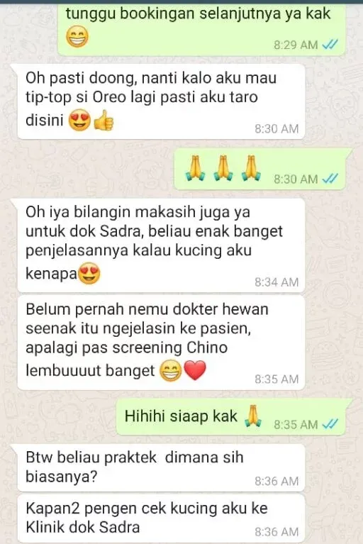 Chat WhatsApp Fikri, pemilik Oreo: memuji drh. Sadra yang enak menjelaskan kondisi kucing ke pasien.